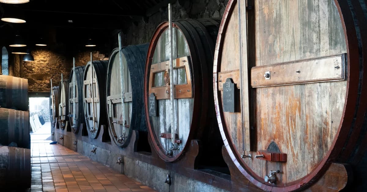 Buenos aires Wine tour