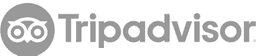 tripadvisor product