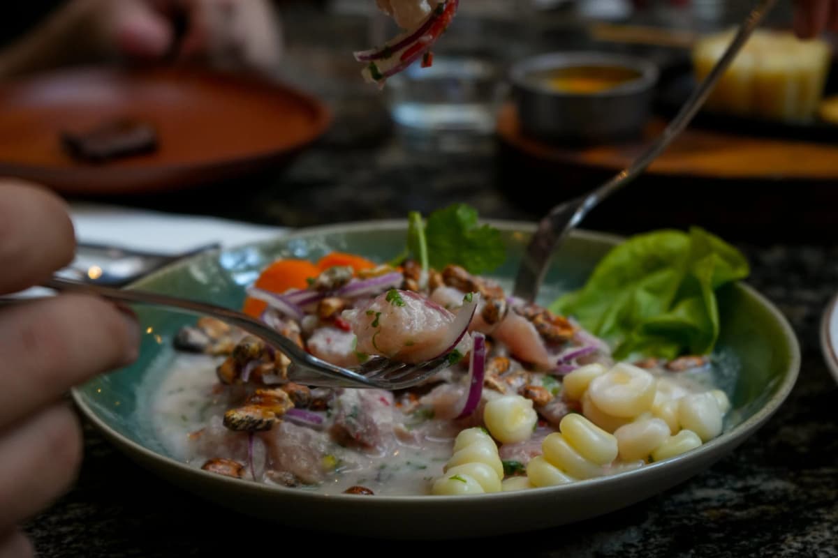 peruvian food and gastronomy ceviche