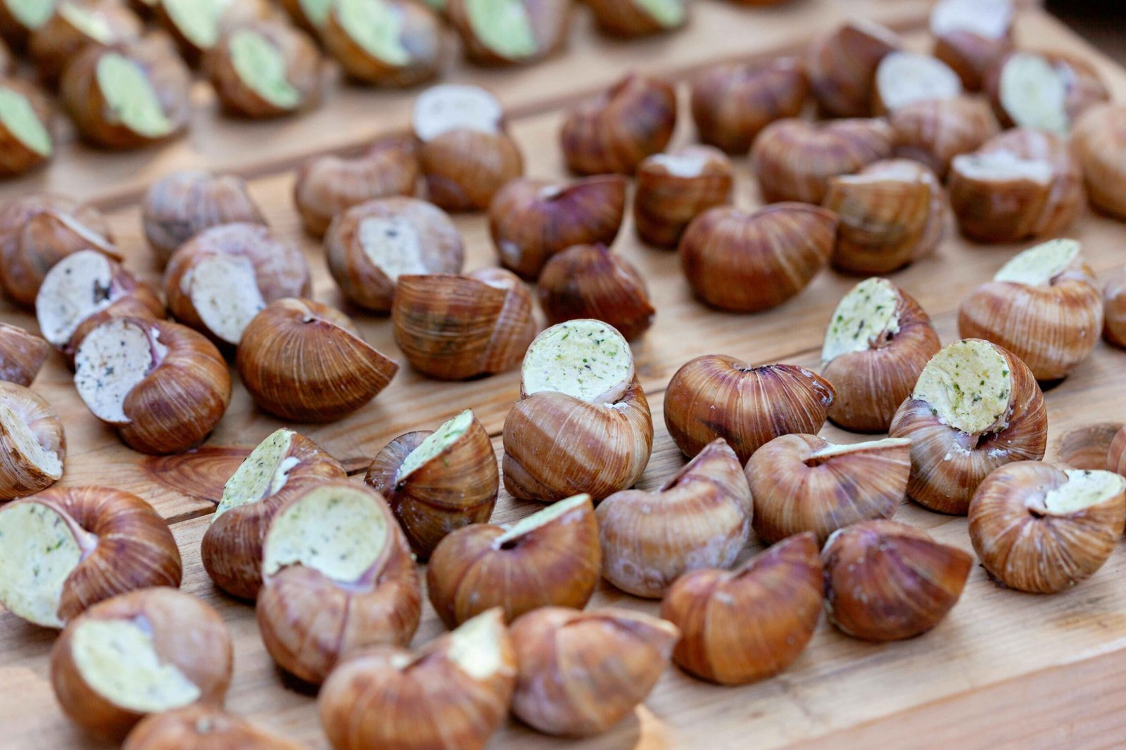 Embark on a taste adventure with every dish