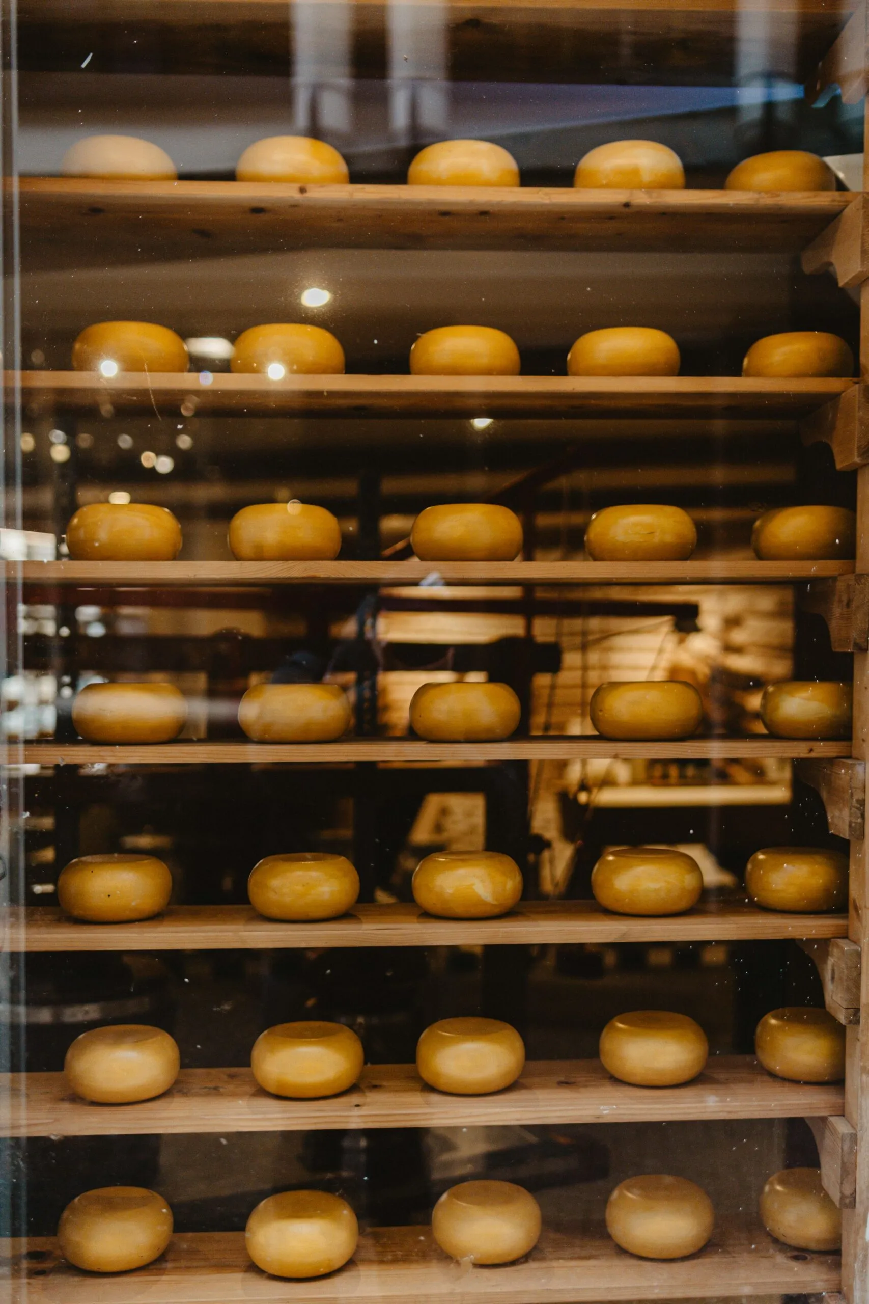 Amsterdam Private Food Tour Experience