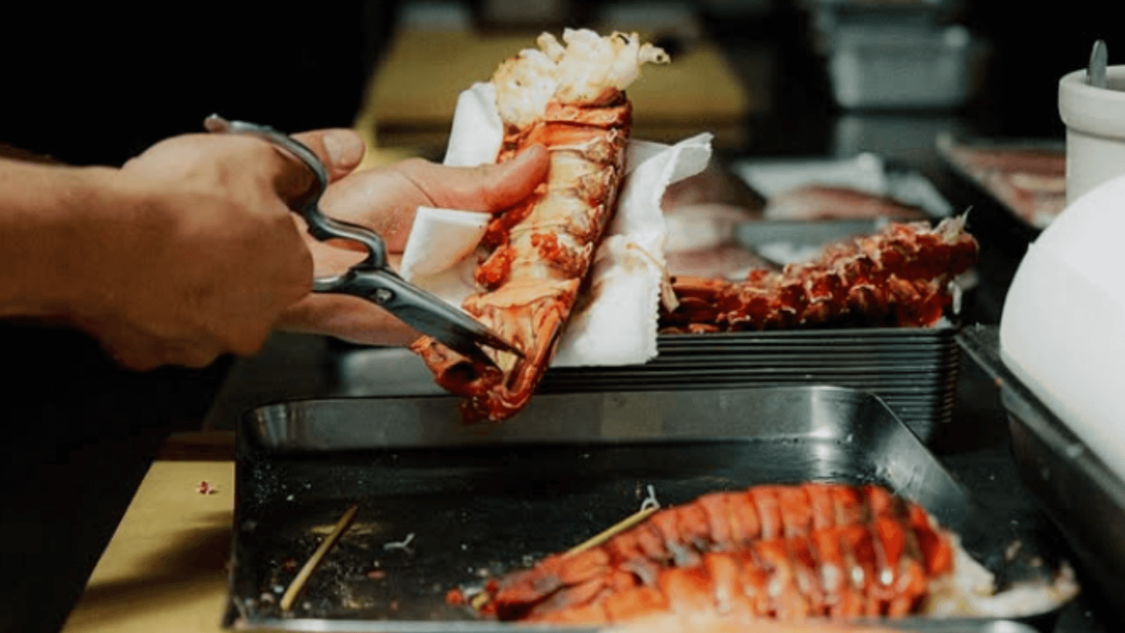 Ensenada Lobster for Taco Omakase.