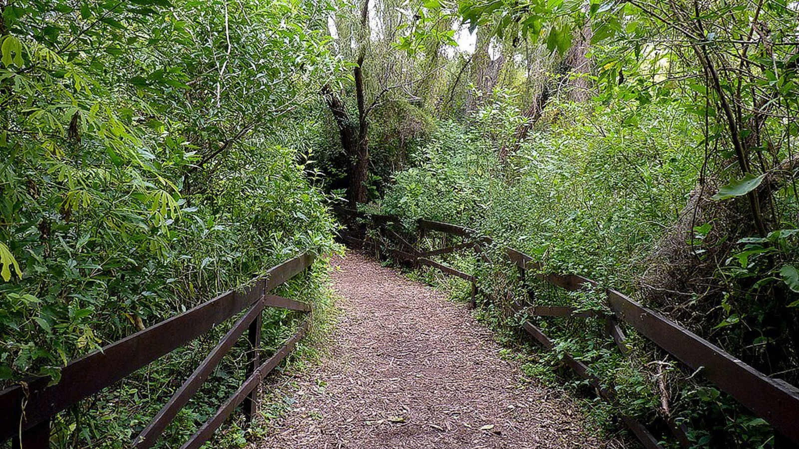 Parque del Río in Vicente López