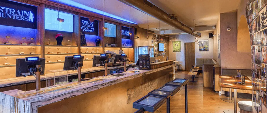 Explore the Best Coffee Shops in Amsterdam for a Perfect Brew