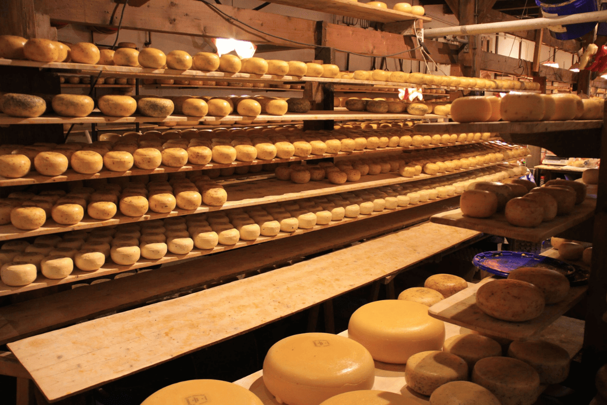 Cheese production
