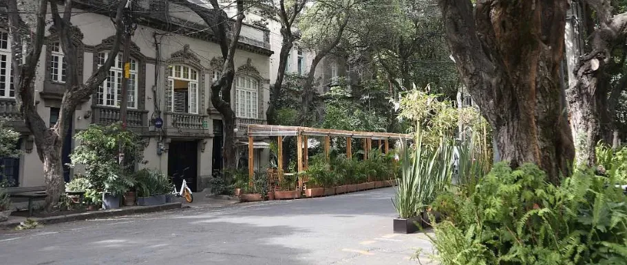 The 9 Best Restaurants in Roma Norte, CDMX