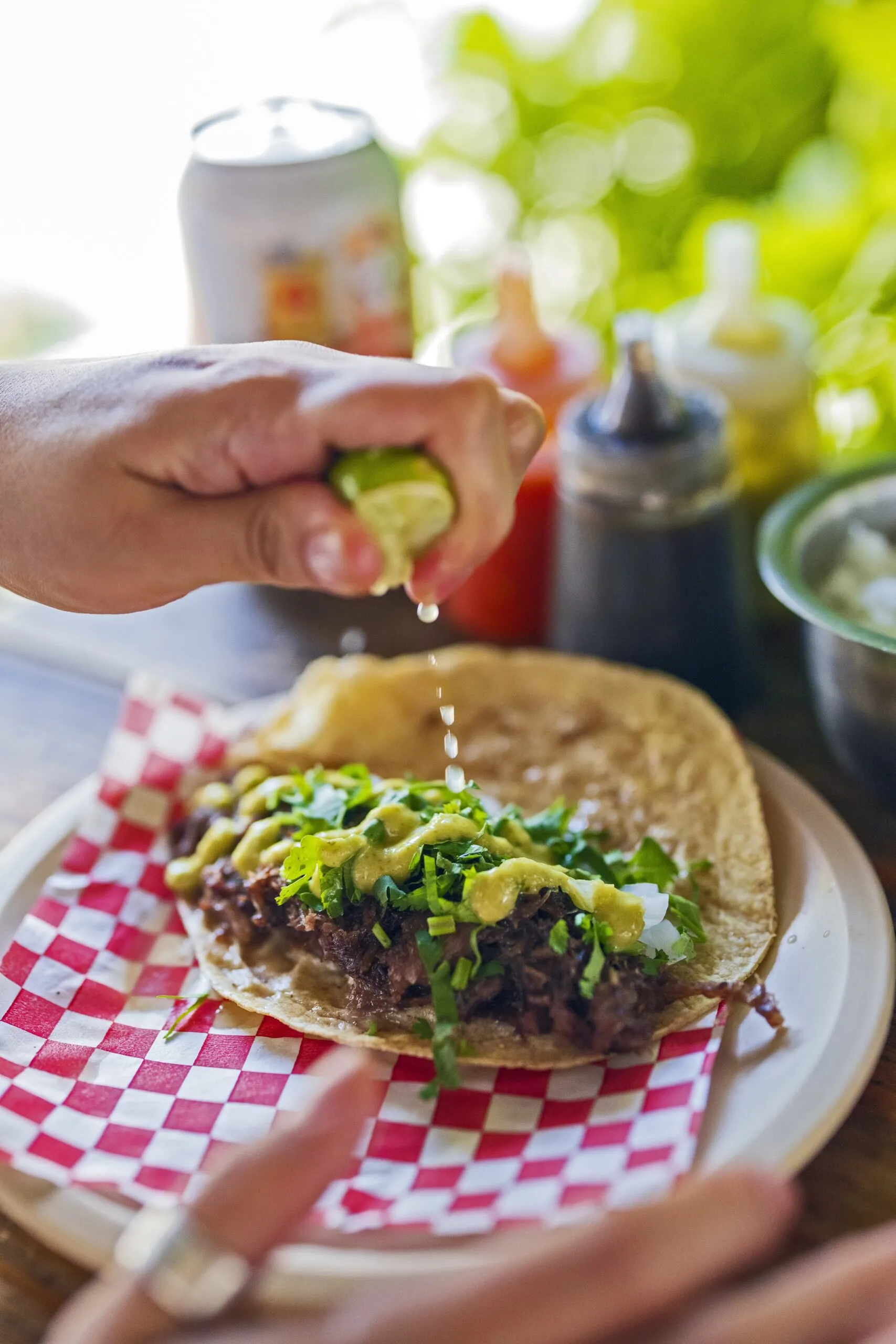 Mexico Local Foodie Adventure 2